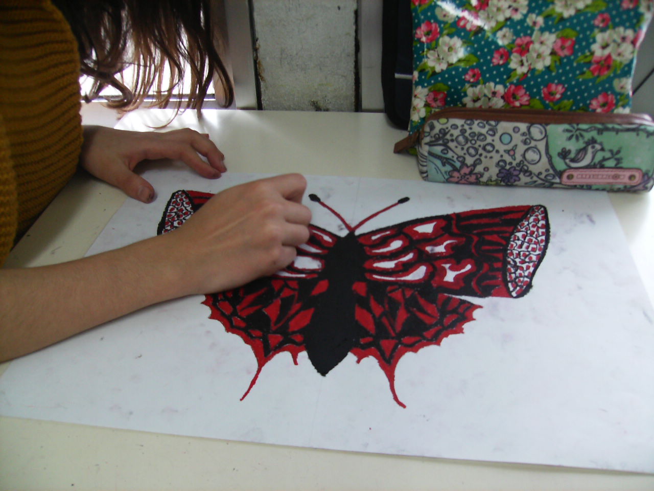 Borboleta Simetrias (4).JPG